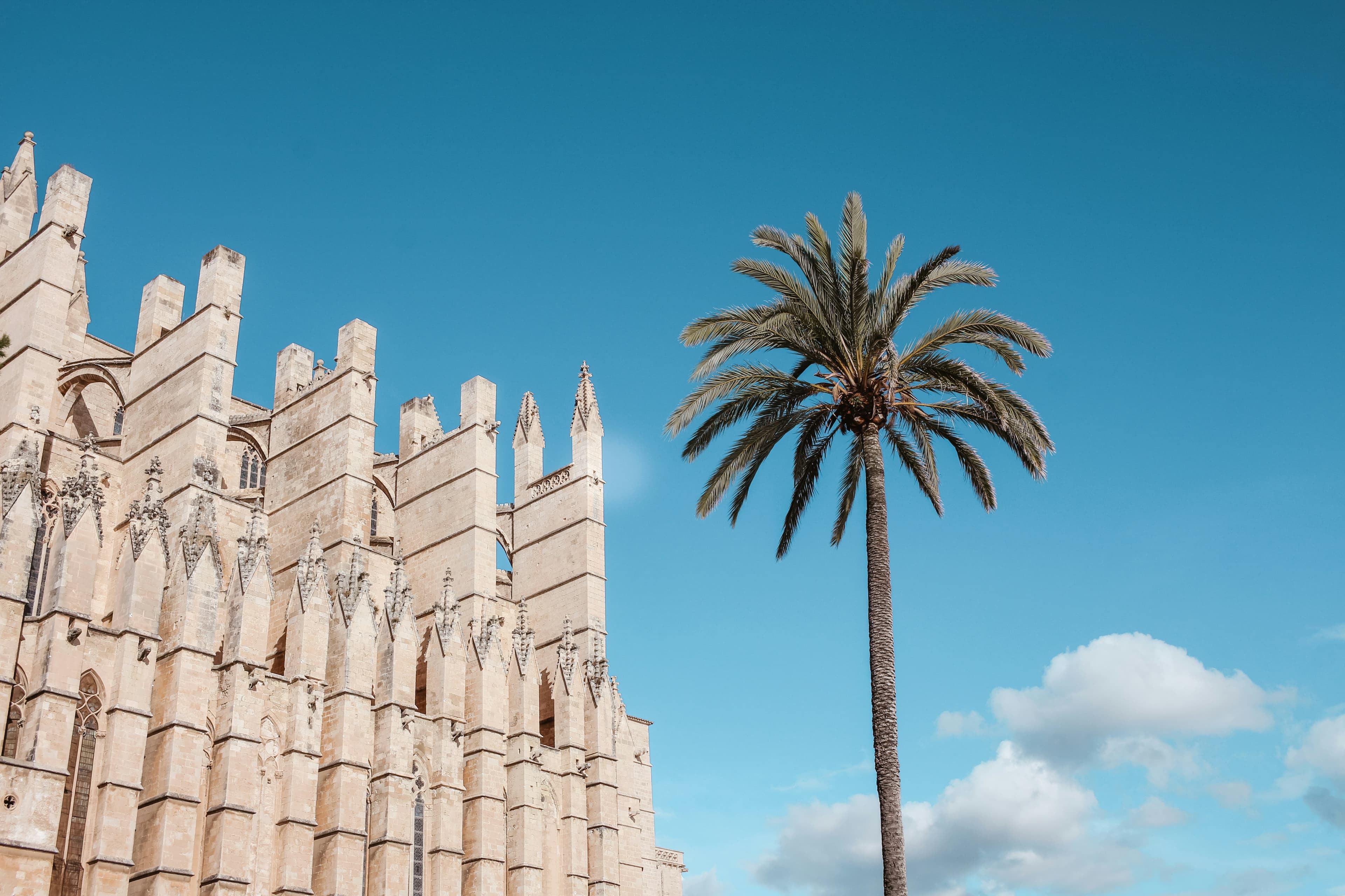 Renting out your apartment in Mallorca: long-term or holiday let, what is actually allowed in 2026