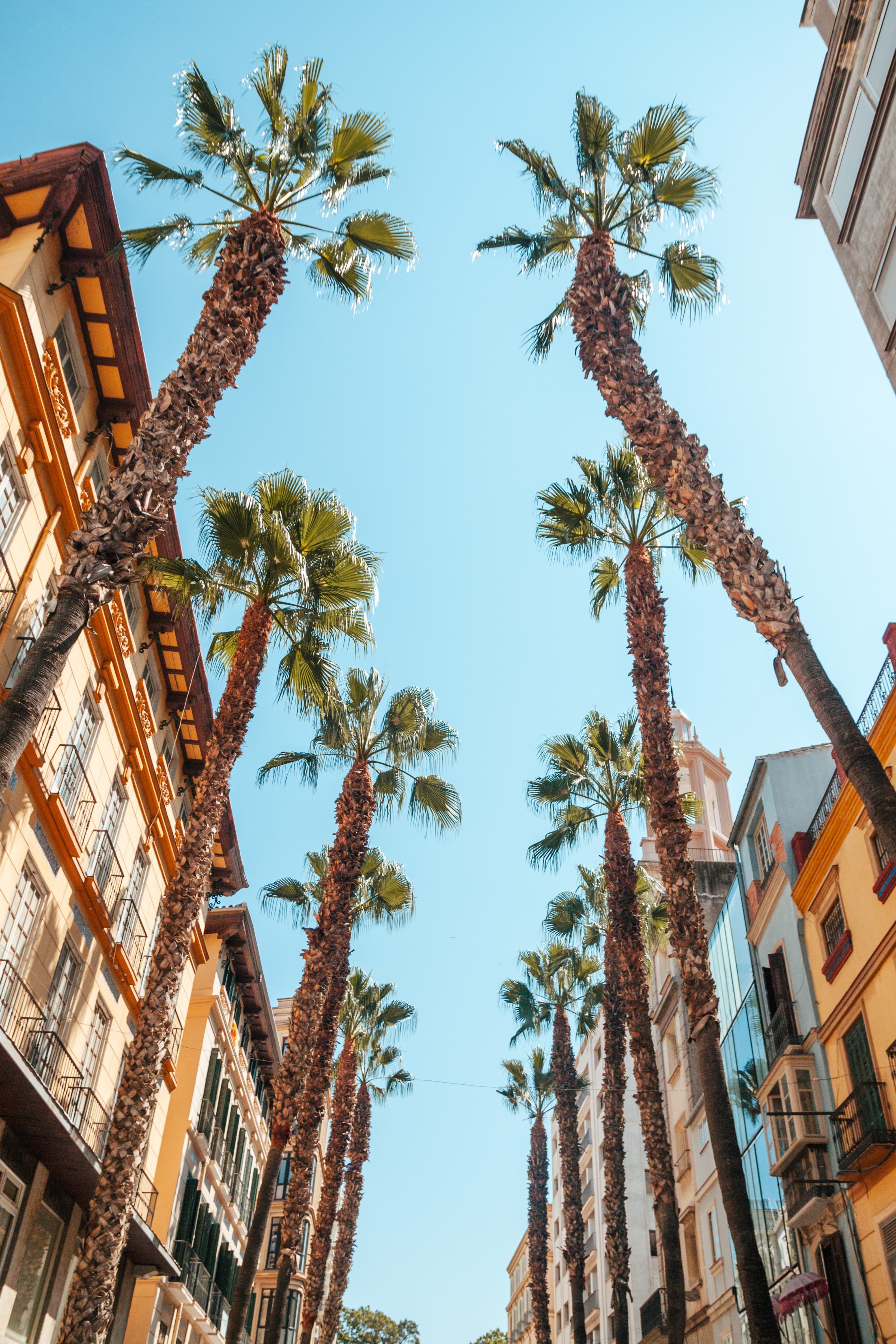 Where do German, Swiss and Austrian buyers buy in Mallorca? The most popular areas for DACH buyers
