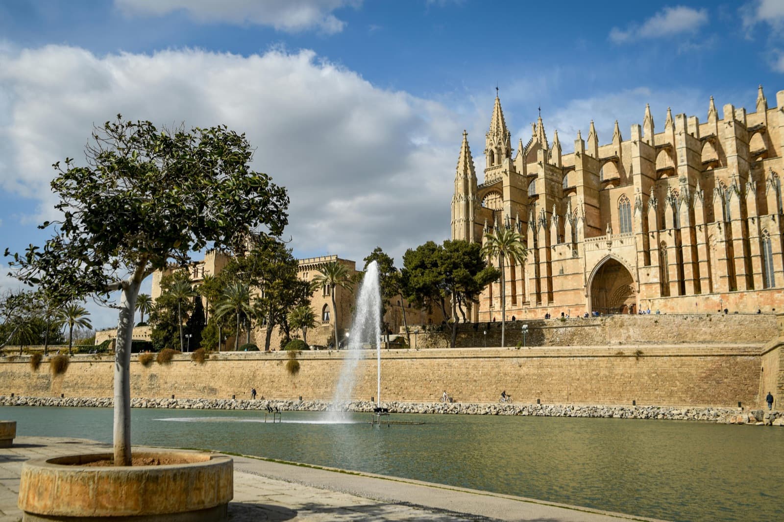 Bons Aires, Palma neighbourhood