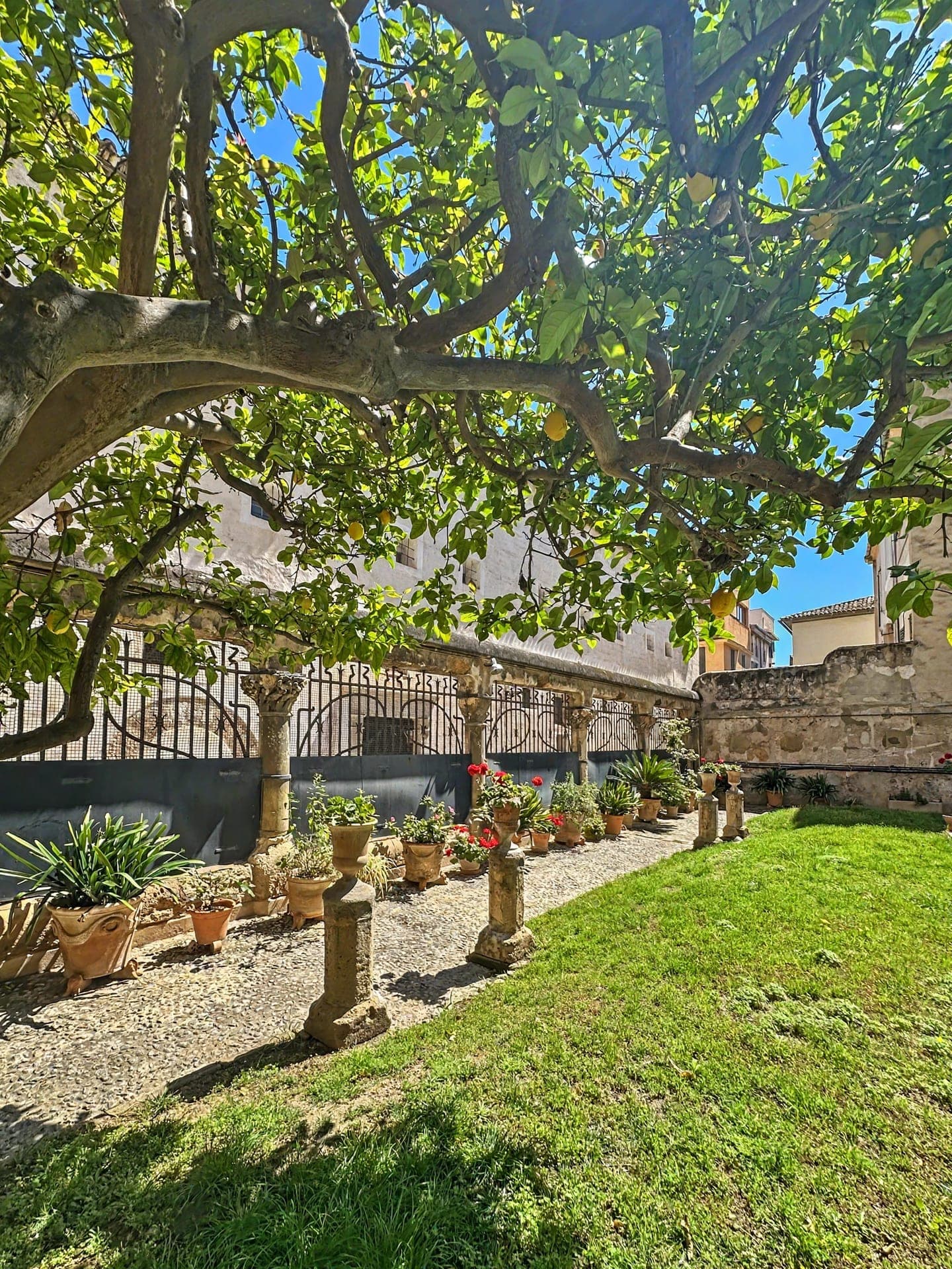 Helle Wohnung mit Garten und Pool in Calatrava, 18